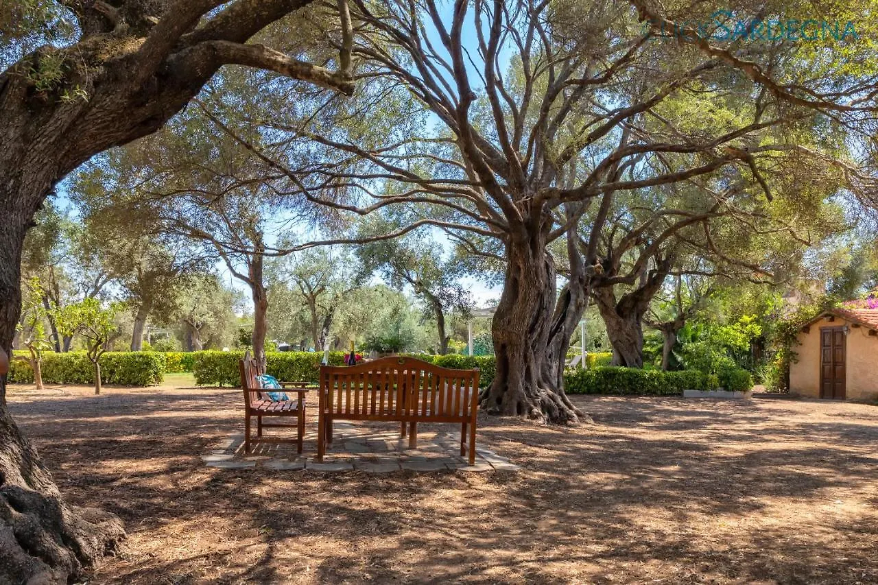Villa Christiana Villa Del XV Secolo Con Piscina Ad Uso Esclusivo Alghero Italy